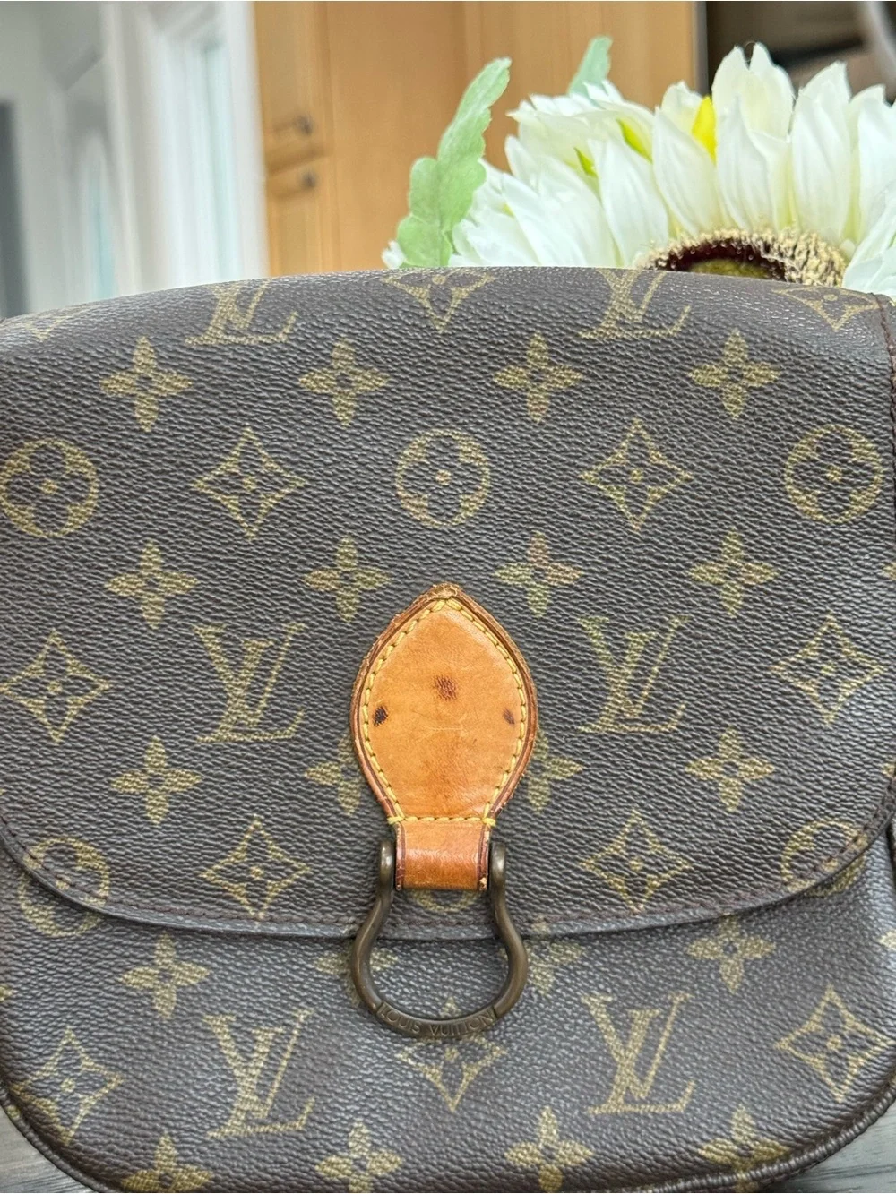 Louis Vuitton iconic louis